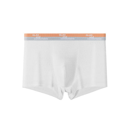 🔥Bubble Cotton Men's Boxer Briefs Antibacterial Breathable Sweat Absorbent🩳