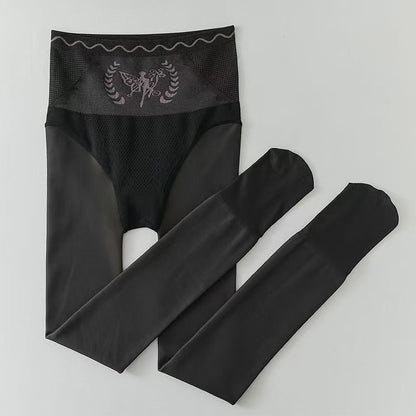 Women's Plush Lined High Waist Sheer Tights Tummy Control Tights